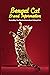 Bengal Cat Breed Information by FEARN MARY
