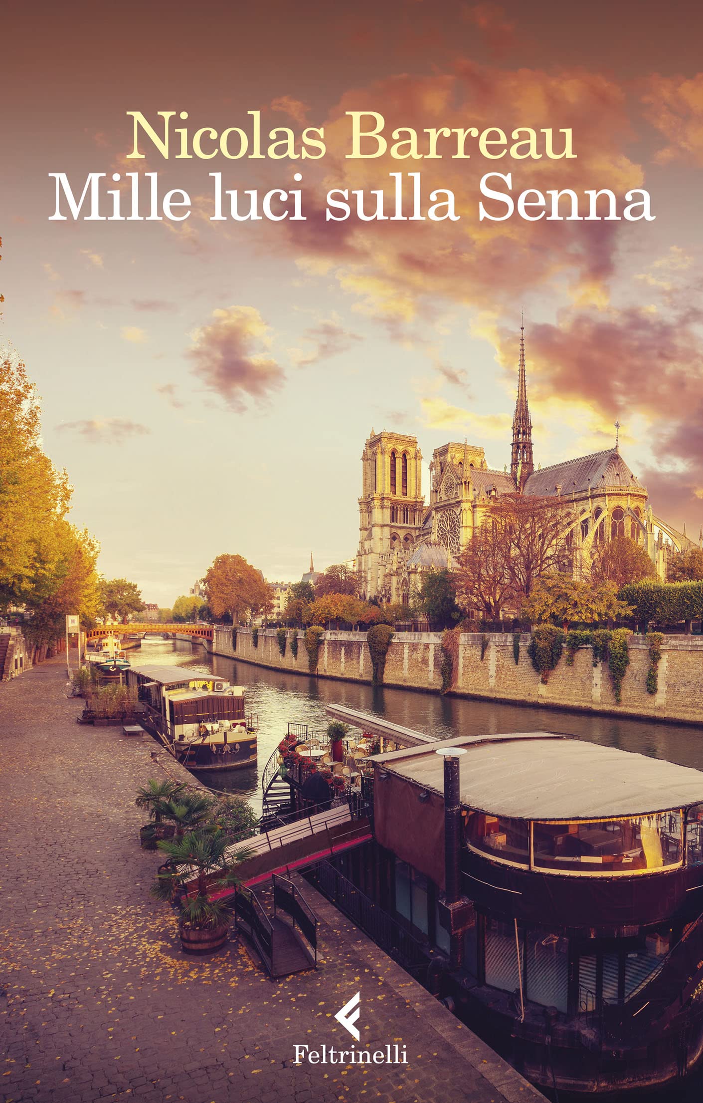 Mille luci sulla Senna (Kindle Edition)