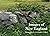 Images of New England: Phot...