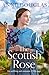 The Scottish Rose