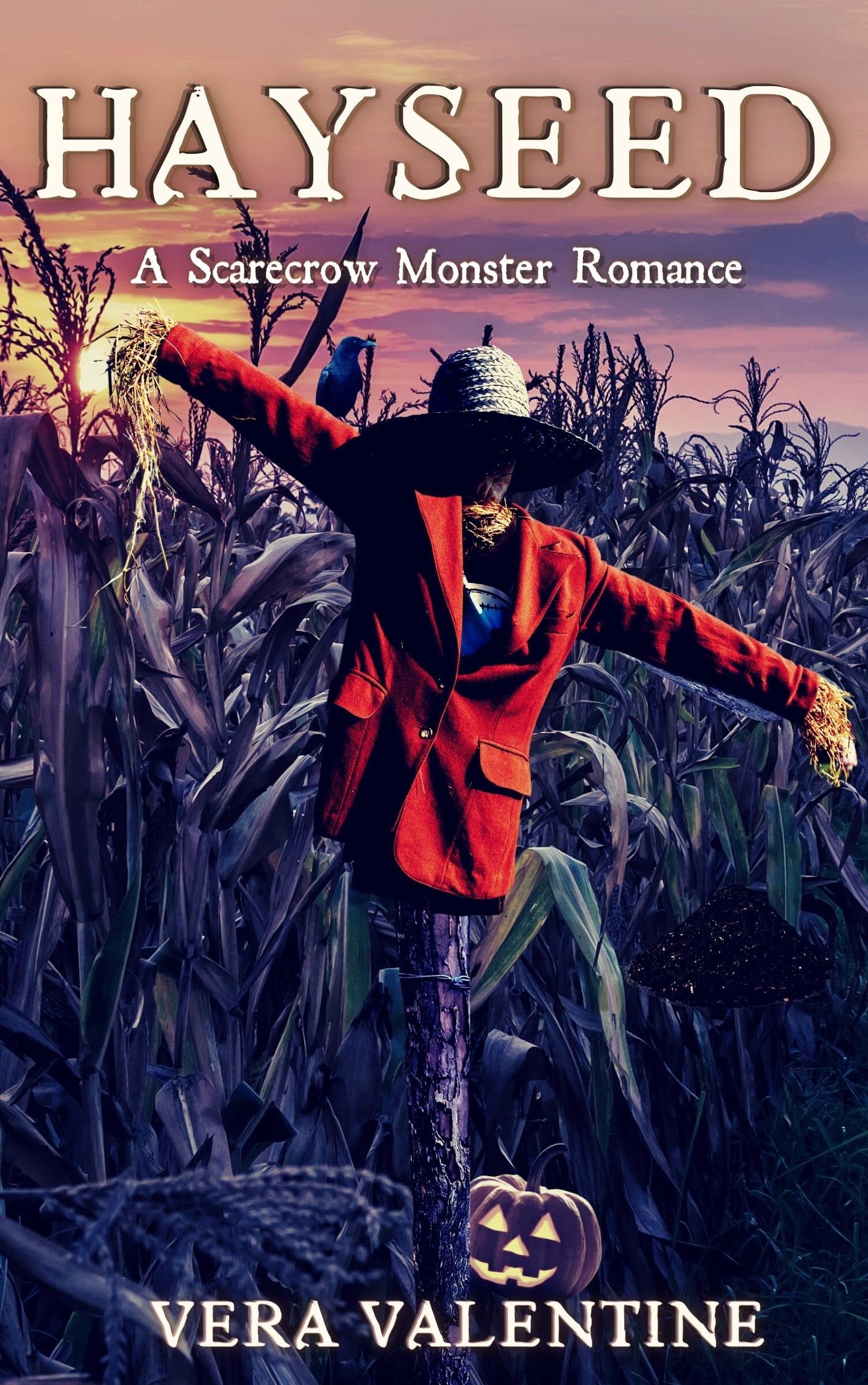 Hayseed (Kindle Edition)