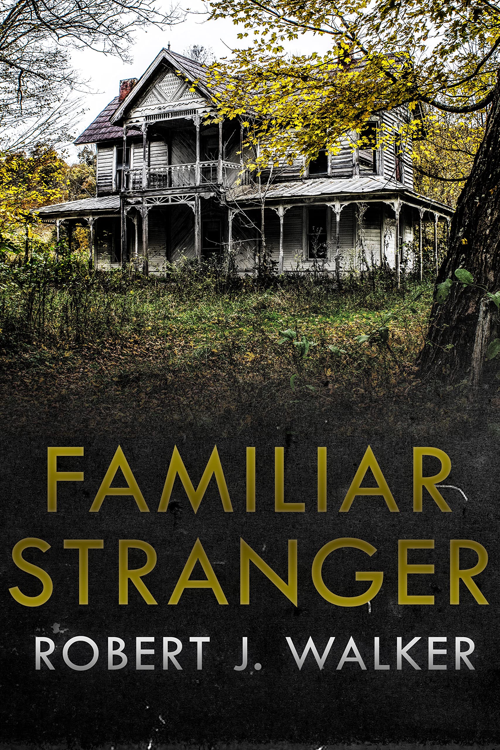 Familiar Stranger: A Small Town Riveting Kidnapping Mystery (A Riveting Kidnapping Mystery Series Book 42)