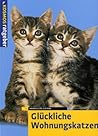 Glückliche Wohnungskatzen