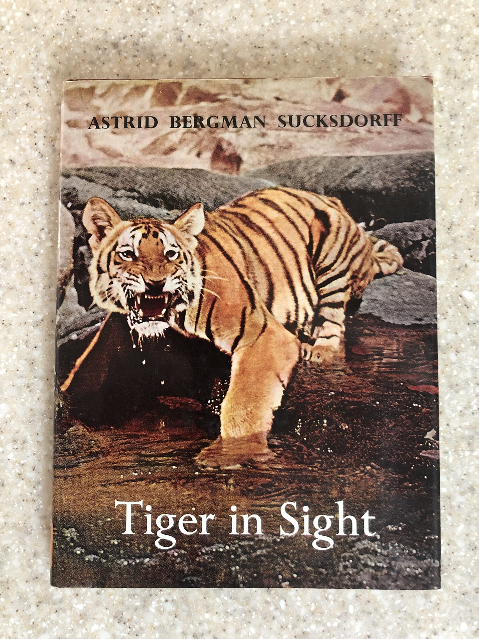 Tiger in Sight (Hardcover)