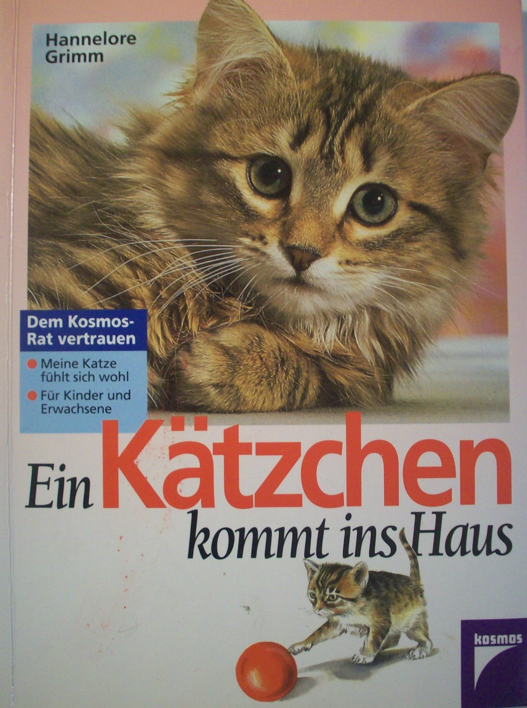 Ein Kätzchen kommt ins Haus. (Paperback)