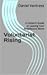 Voluntarist Rising: A Citizen's Guide to Leaving Your Neighbours Alone (Correcting the Misinformed Book 6)