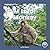 M Is for Monkey