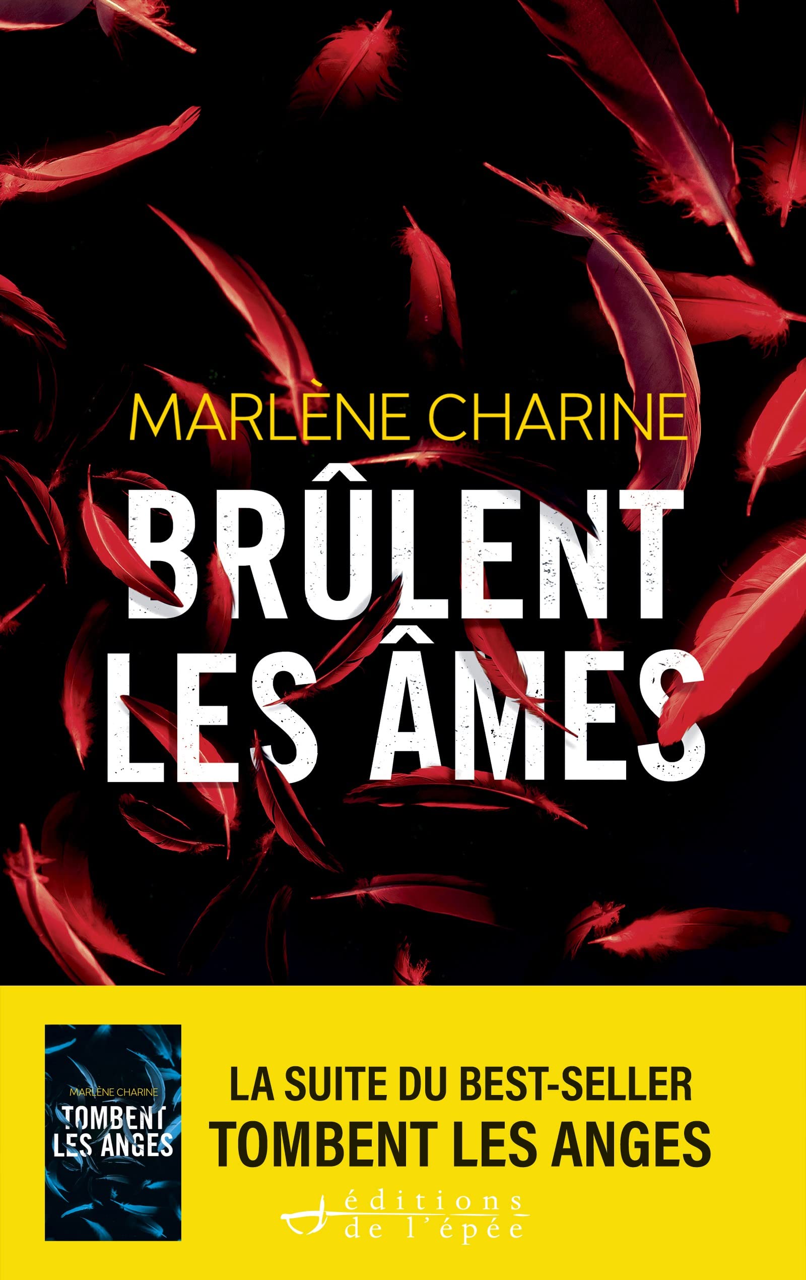 Brûlent les âmes (Kindle Edition)