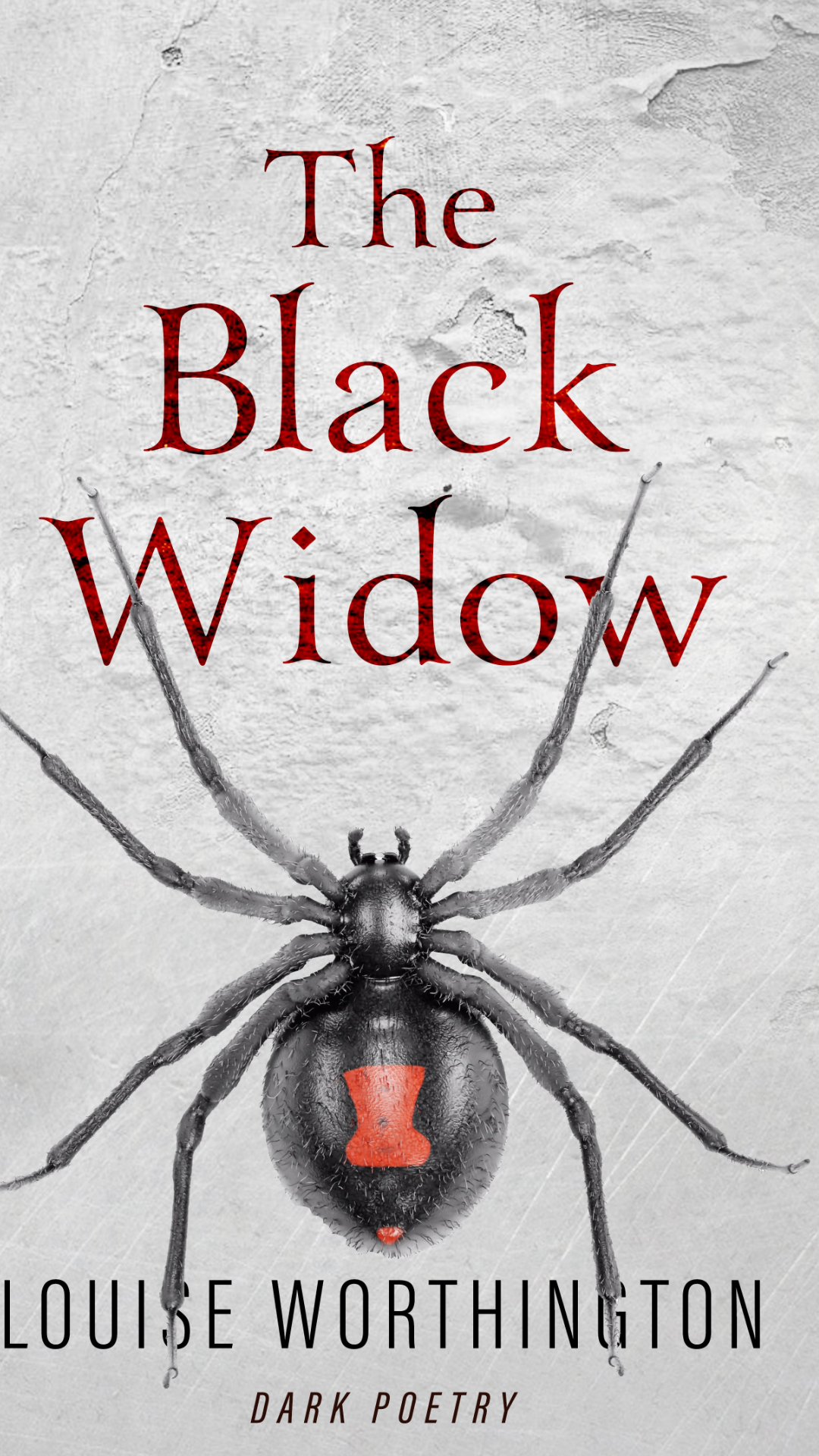 The Black Widow (Kindle Edition)