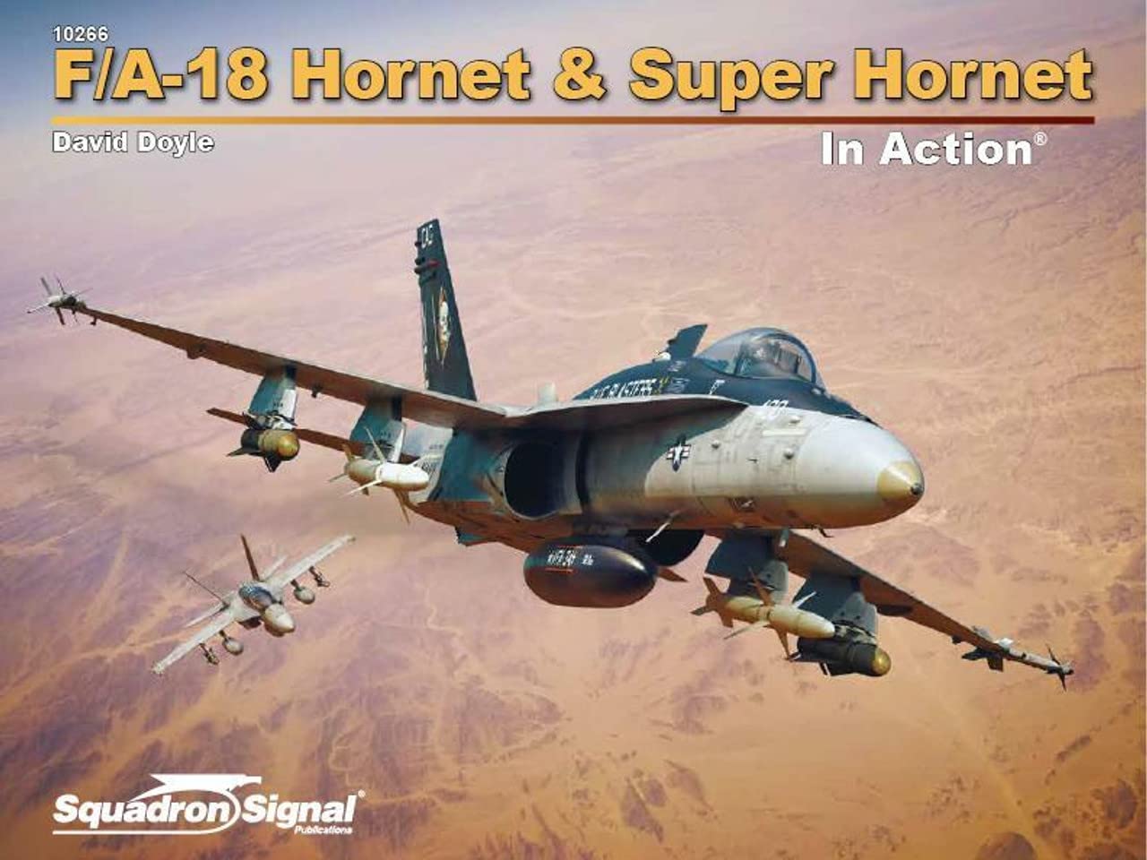 F/A-18 Hornet & Super Hornet in Action (Paperback)