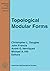 Topological Modular Forms (Mathematical Surveys and Monographs)