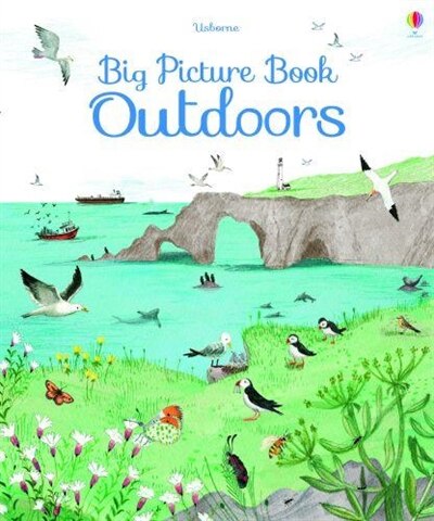 Usborne Big Picture Book Outdoors (Hardcover)
