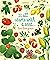 Usborne Big Picture Book How Food Grows