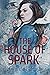 The House of Spark: A historical novel about Romania