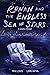 Ronan and the Endless Sea of Stars: A Graphic Memoir