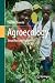 Agroecology: Simplified and Explained