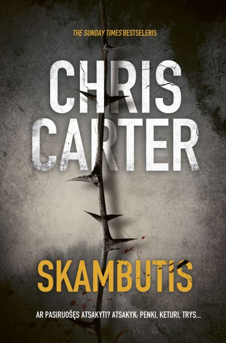 Skambutis (Robert Hunter, #8)