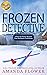 Frozen Detective (Piper and Porter Mysteries, #2)