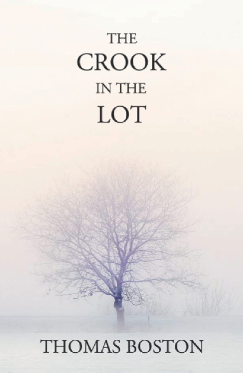 The Crook in the Lot (Hardcover)