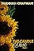 The Candle in the Dark by Shannah Chapman