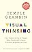 Visual Thinking: The Hidden Gifts of People Who Think in Pictures, Patterns and Abstractions