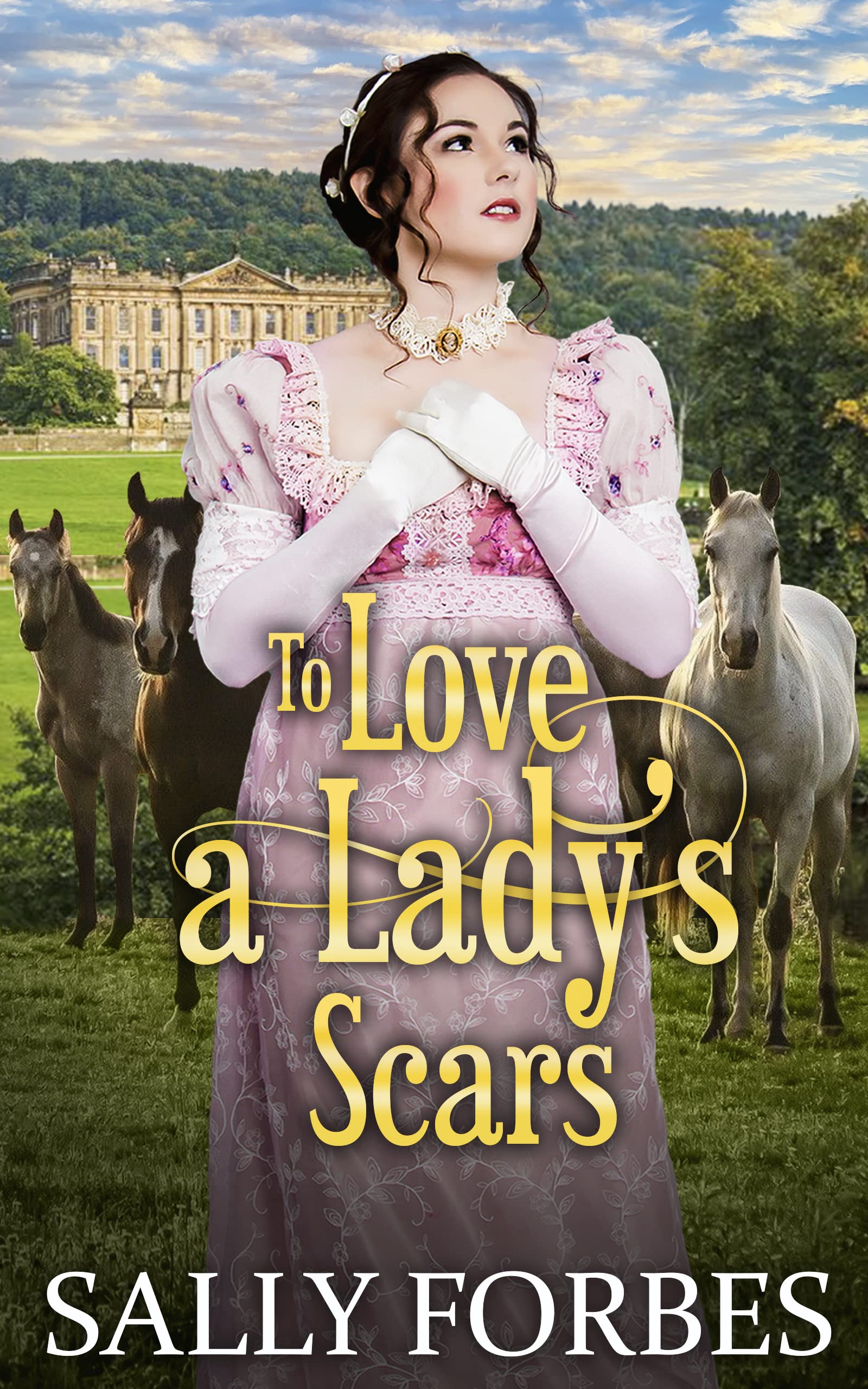 To Love a Lady's Scars (Kindle Edition)