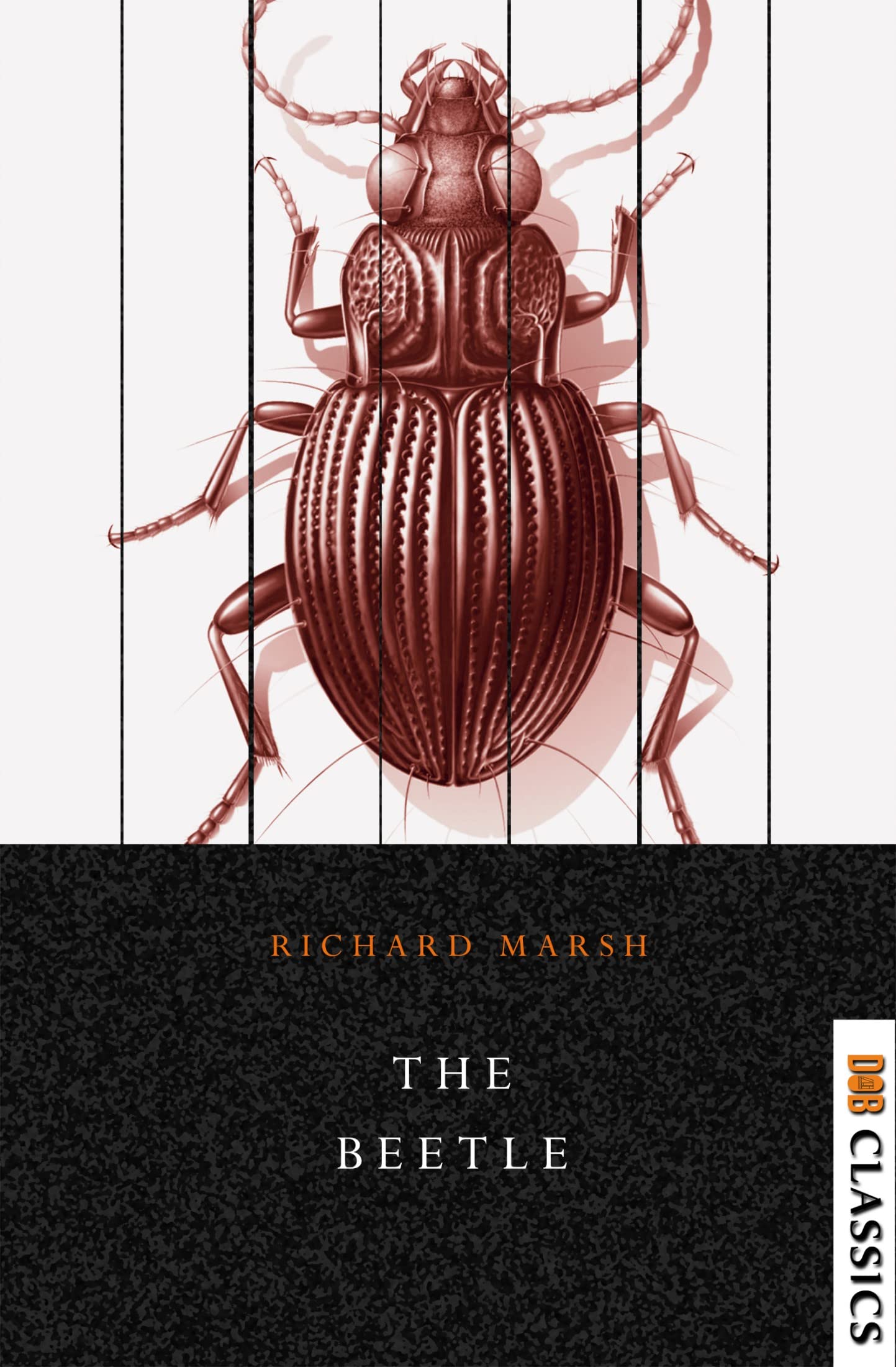 The Beetle