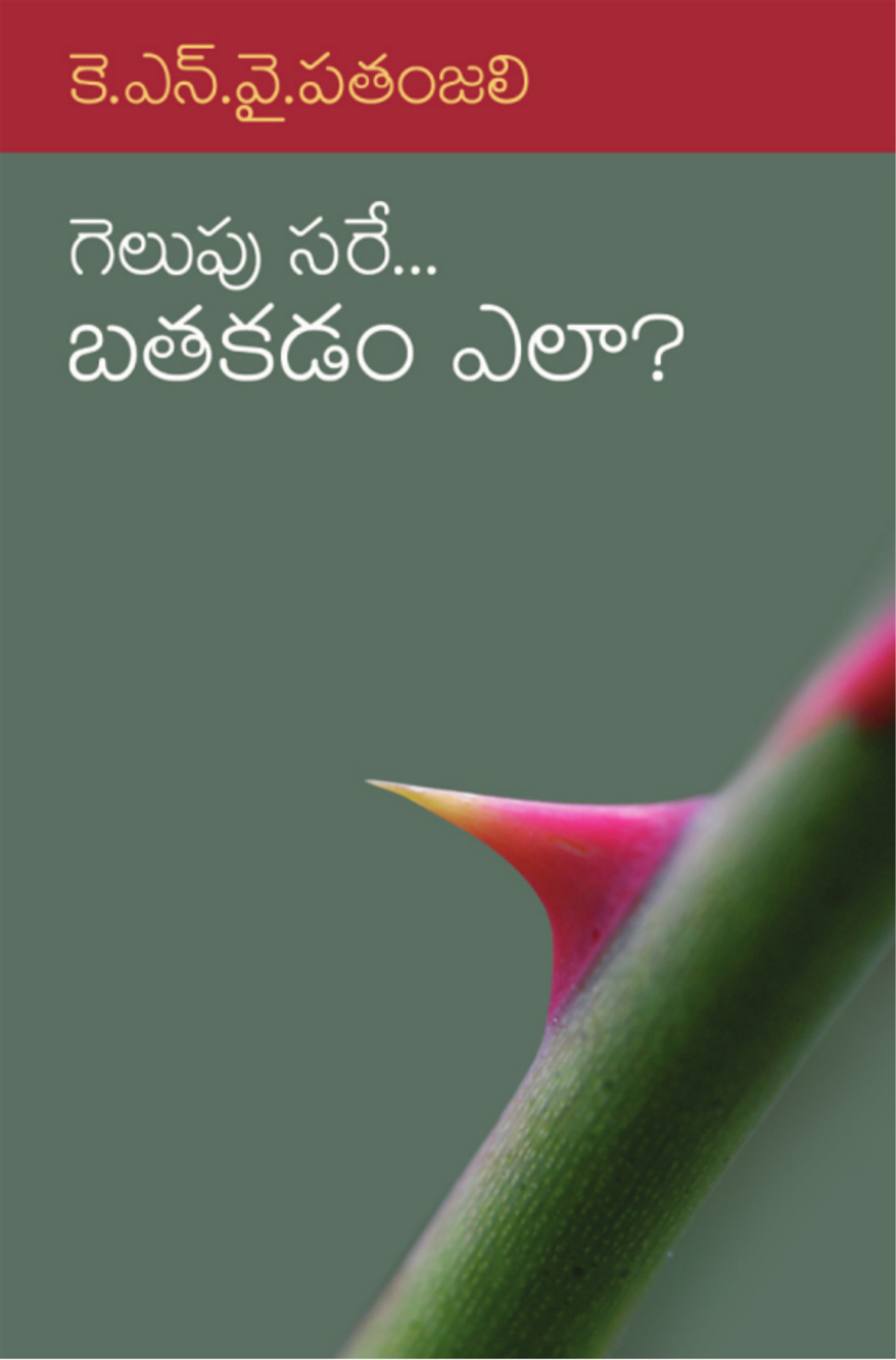 గెలుపు సరే... బతకడం ఎలా?