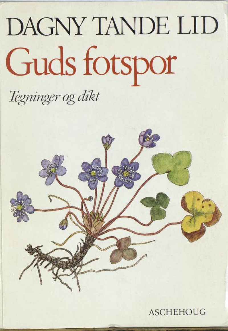 Guds fotspor (Norwegian Edition)