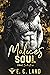 Malice's Soul (Devil's Riot MC: Southeast, #2)