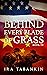 Behind Every Blade of Grass by Ira Tabankin