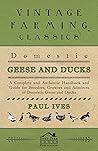 Domestic Geese An...