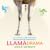 Llama Drama: A two-woman, 5,500-mile cycling adventure through South America (Anna's Adventures #3)