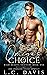 Omega's Choice (Wild Hearts Shifters #1)