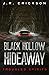 Black Hollow Hideaway: A Troubled Spirits Novel