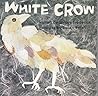 White Crow White Crow