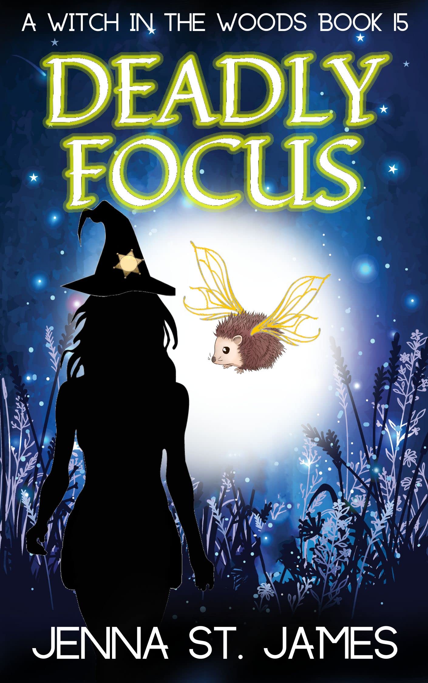 Deadly Focus (Witch in the Woods, #15)