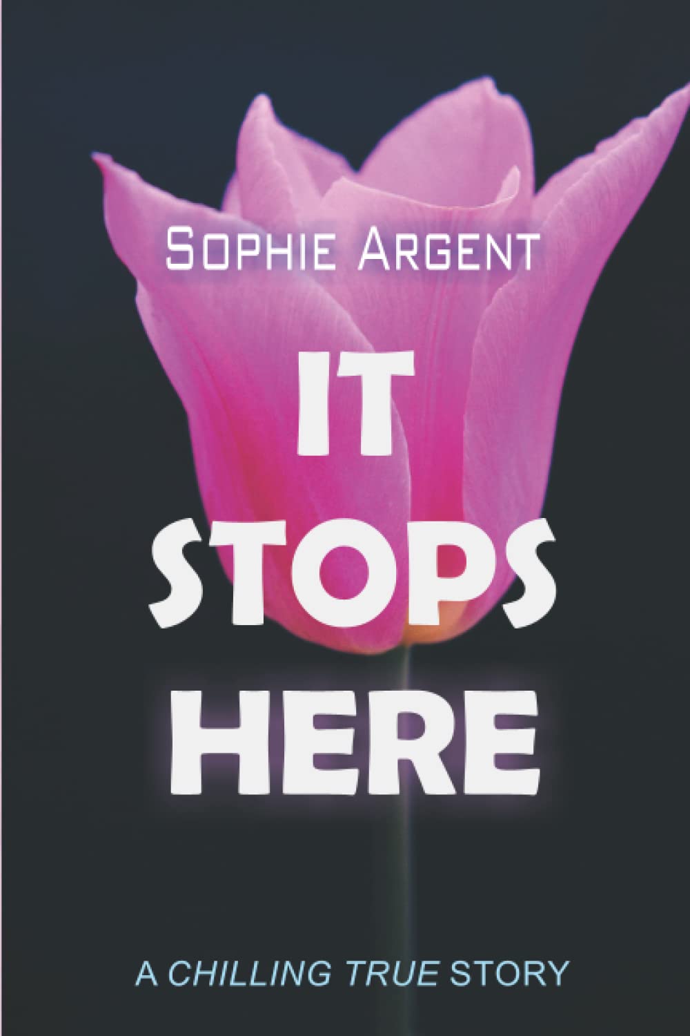 It stops here: A chilling true story (Paperback)