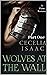 Wolves at the Wall (High Fantasy Romance): Part One (A Djinn Romance Novellas Book 4)