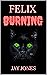 Felix: Burning