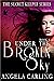 Under The Broken Sky, (Secret Keeper Series, #4)