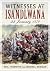 Witnesses at Isandlwana: 22...