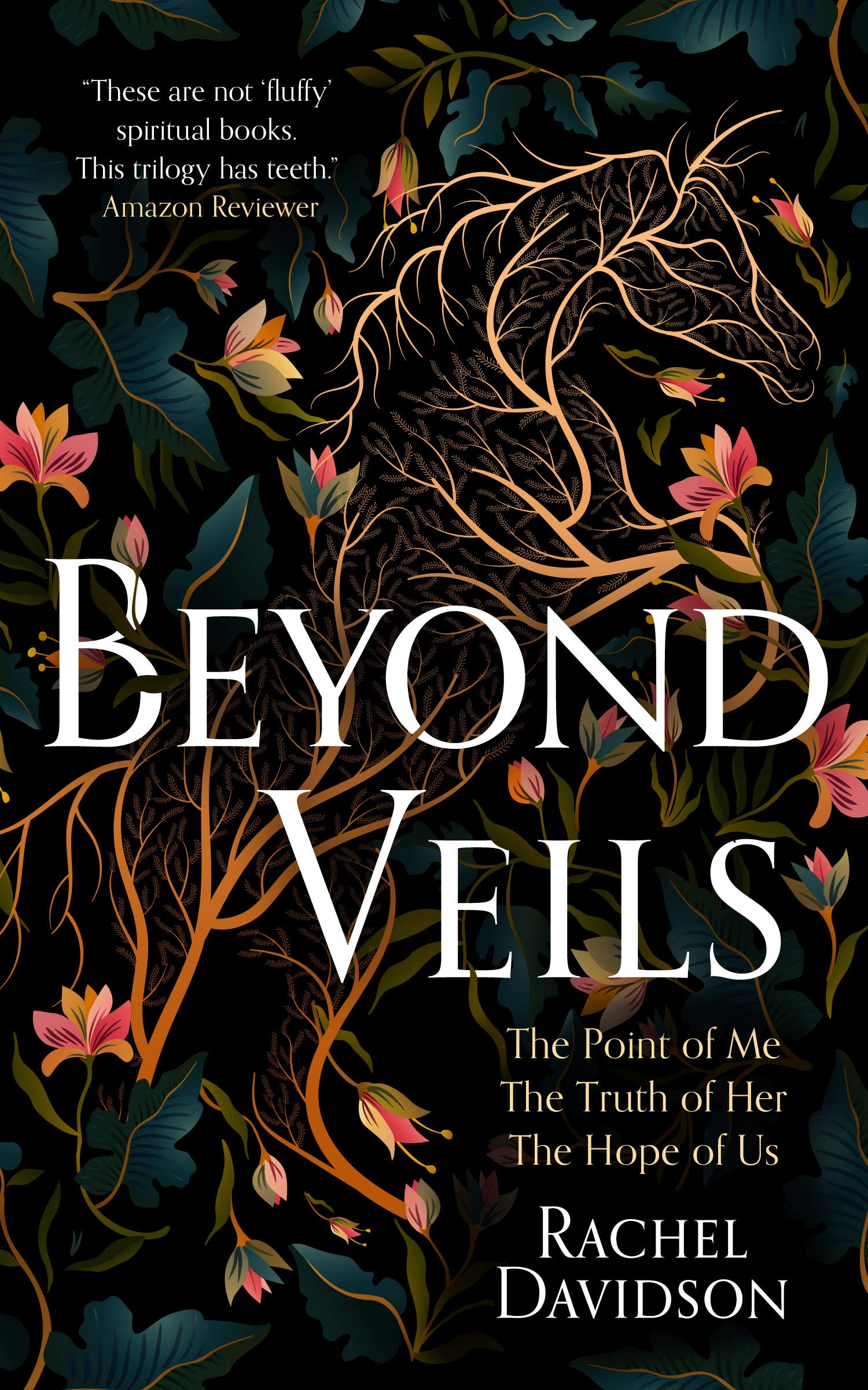 Beyond Veils Series Collection: The Point of Me, The Truth of Her, The Hope of Us (Kindle Edition)