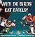 Why Do Birds Eat Bagels? by Mikayla Lowery