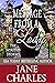 Message from a Lady (The Spirited Storms #6)