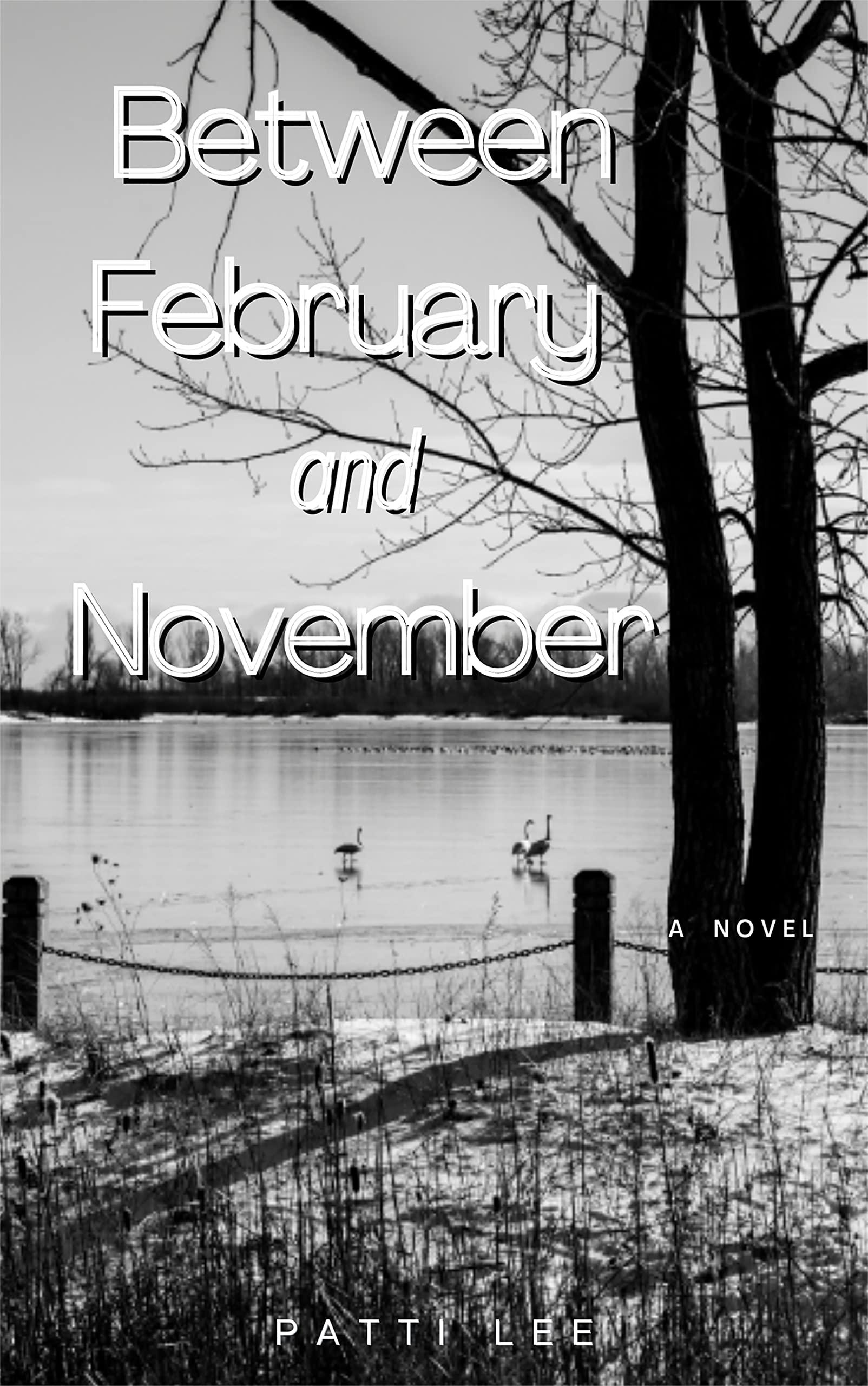 Between February and November (Kindle Edition)