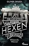 Die letzten Hexen von Berlin by Oliver Skuza