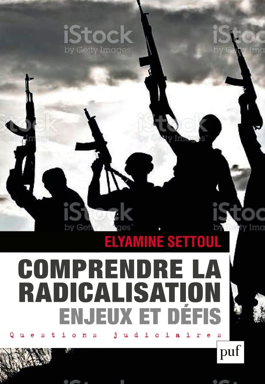 Penser la radicalisation djihadiste : acteurs, théories, mutations (Paperback)