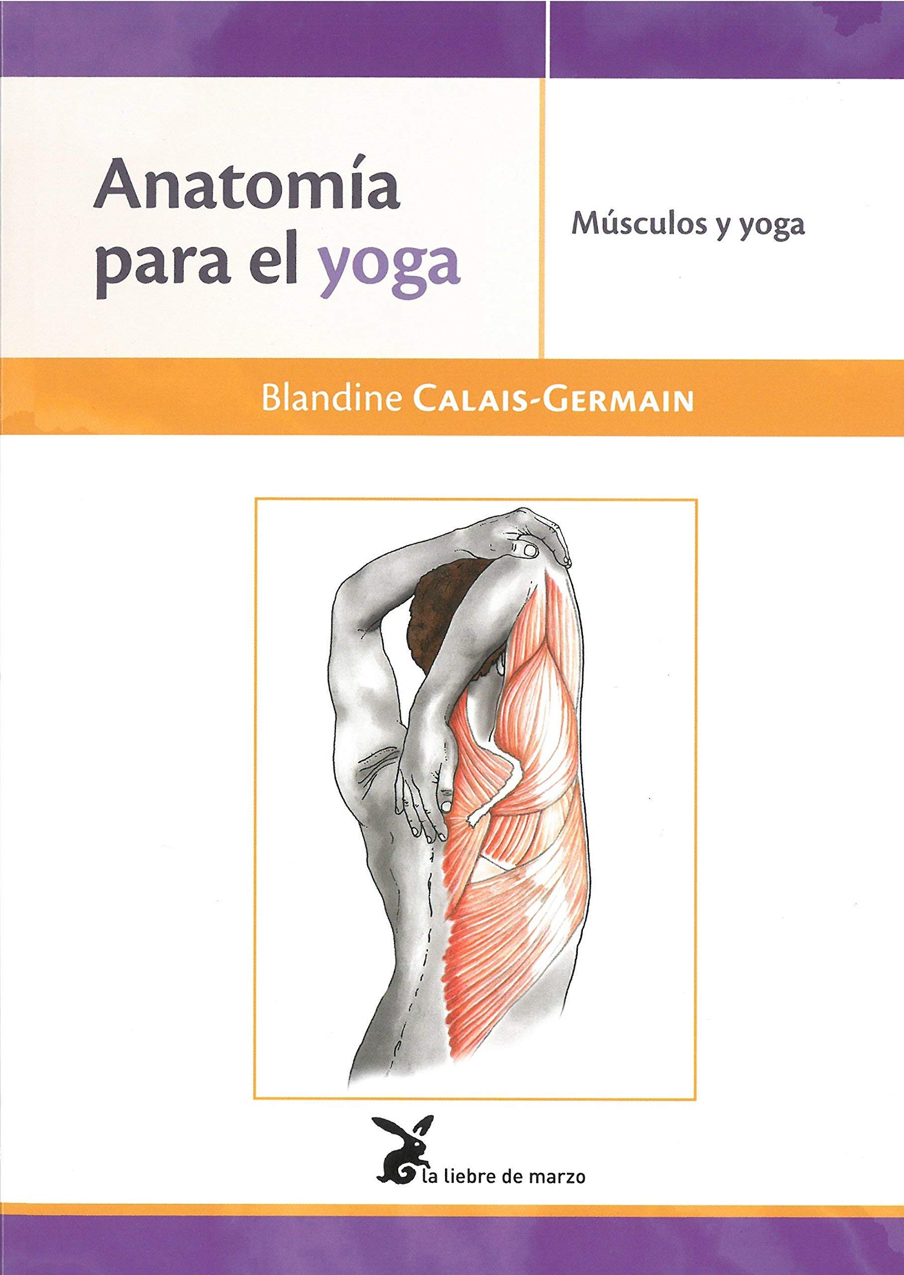 Anatomía para el yoga: Músculos y yoga