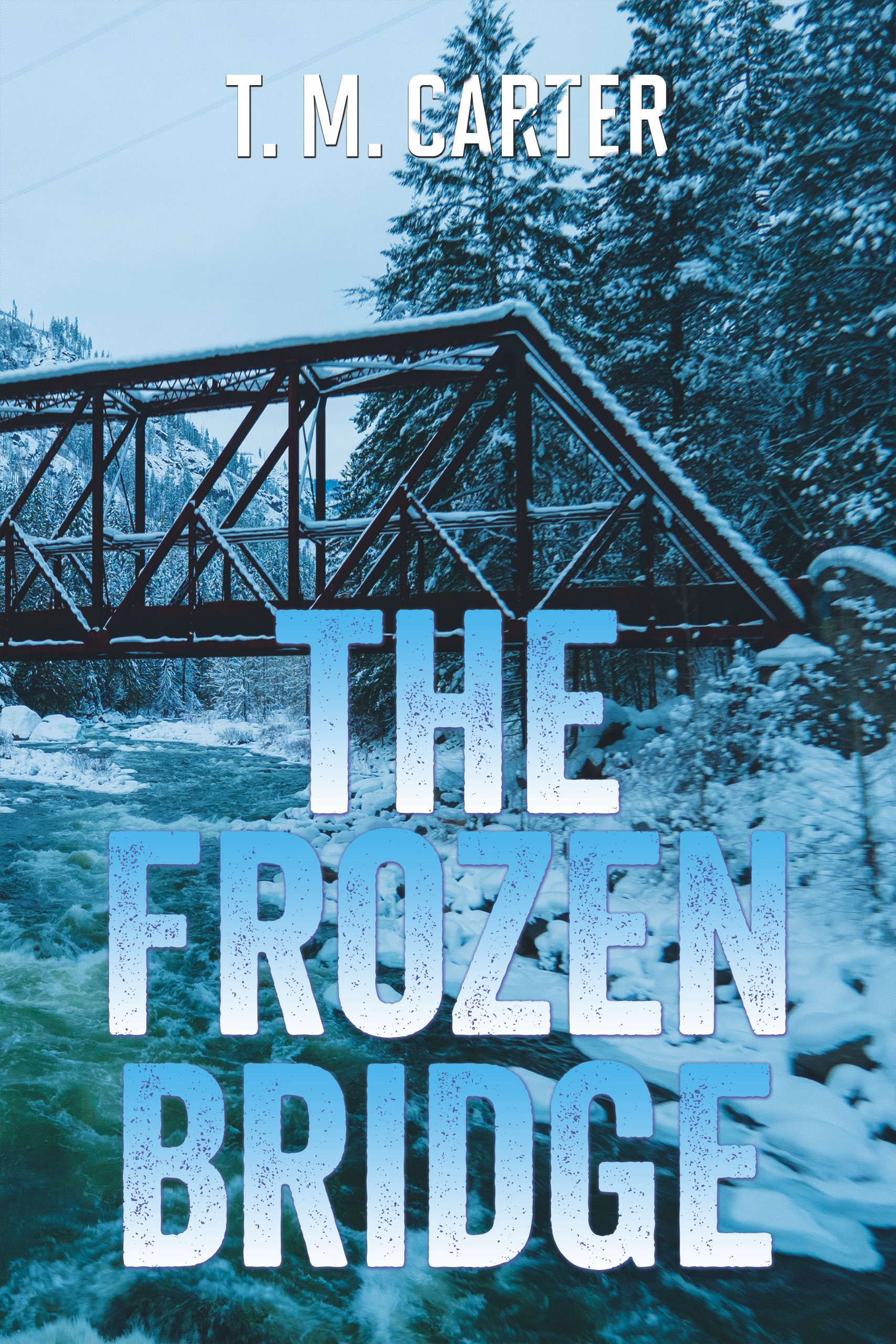 The Frozen Bridge (Rooks & Berlew Mysteries, #1)